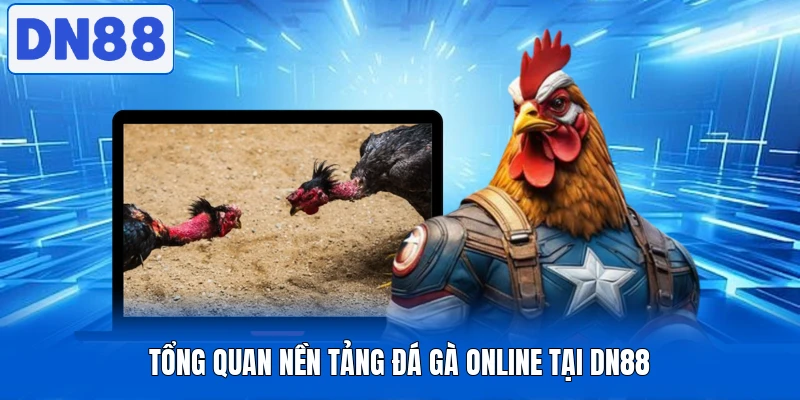 Đá Gà Dn88 - Đặt Cược Kèo Nhanh, Xem Chọi Gà Cực Đã 1 Tổng quan nền tảng đá gà online tại DN88